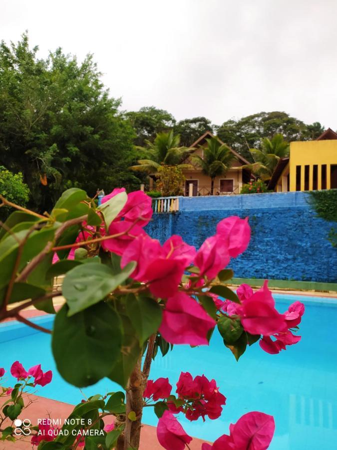 Guaramiranga-Ce Chale Do Rei Villa Exterior photo